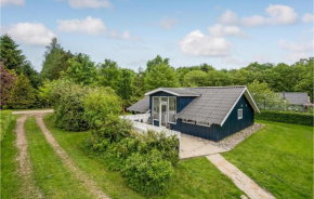 Nice Home In Toftlund With Wifi